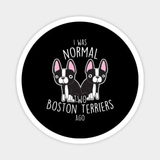 Boston Terrier Dog Normal Magnet